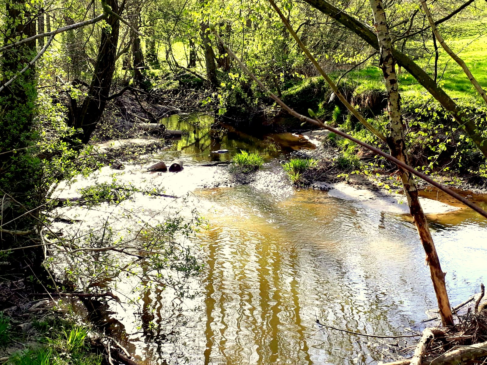 Barnitz Oldesloer Anglerverein von 1935 e.V.
